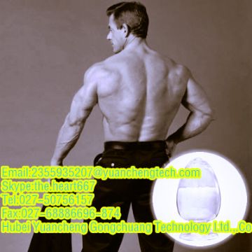 Testosterone Acetate (Steroids)    